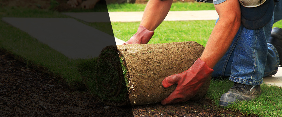 Bala Cynwyd Landscapers